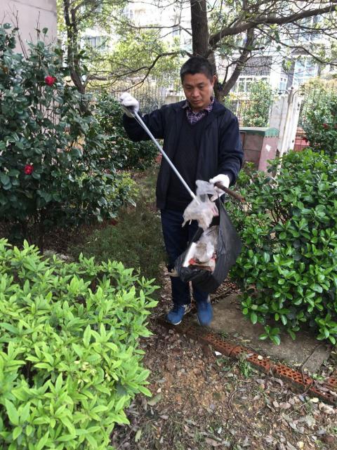 控制鼠害、預(yù)防疾病，構(gòu)建和諧文明社區(qū)